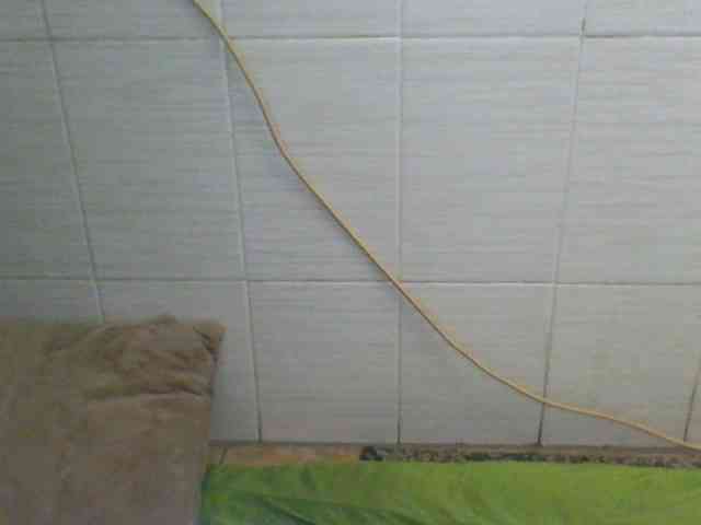 Tema7774