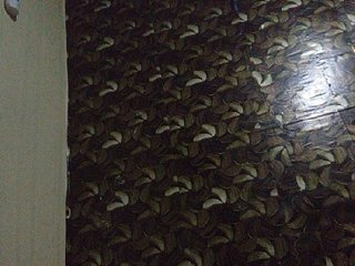 Gracia02