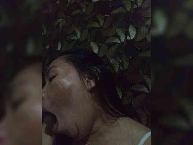Model: Gracia02