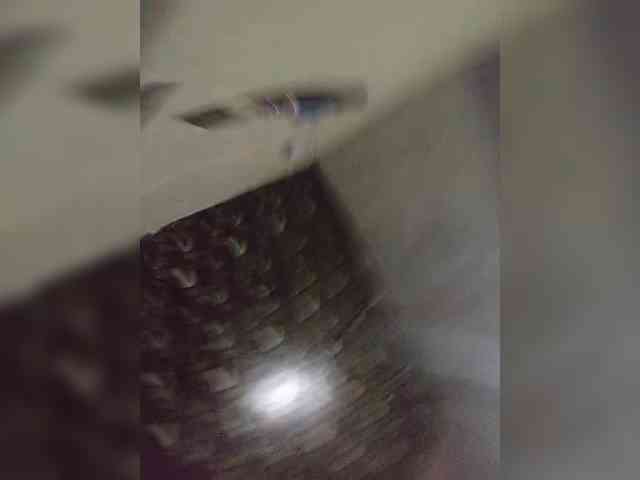 Gracia02 Live Webcam on BongaCams