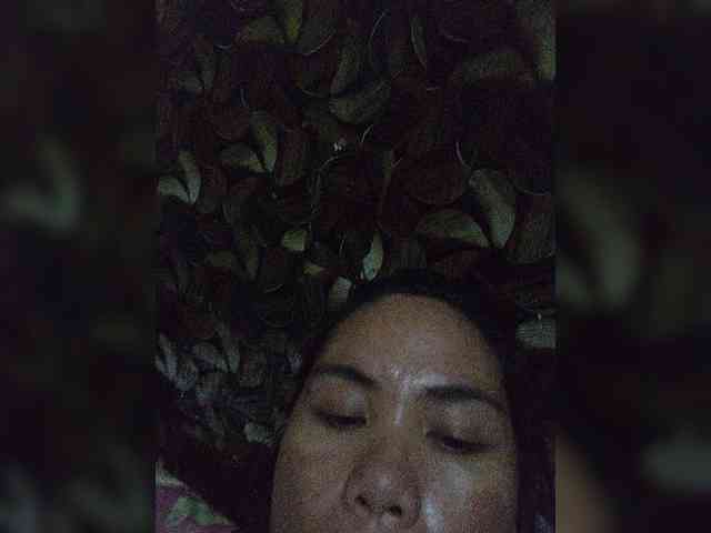 Gracia02