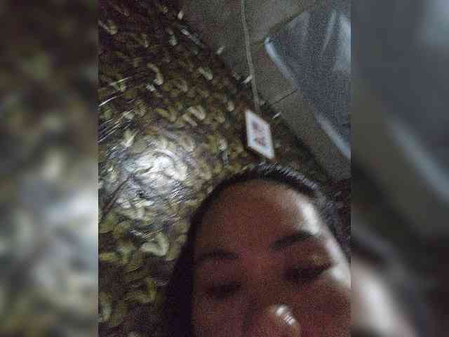 Gracia02 webcam