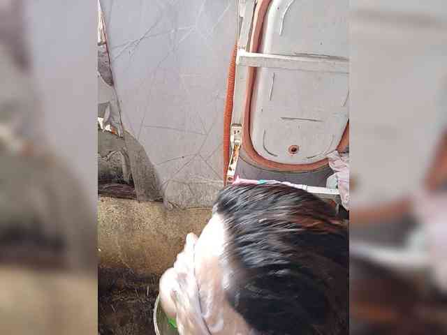 Gracia02