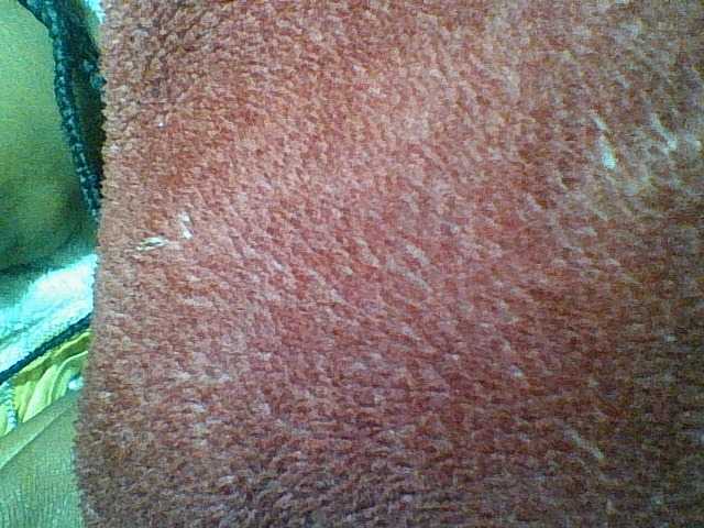 Felanah1 live cam preview