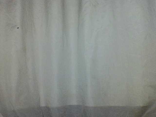 Felanah1 live cam on BongaCams