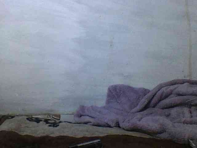 Felanah1 webcam