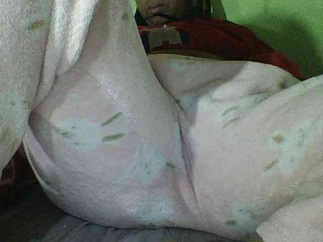 Felanah1 webcam