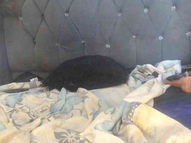 Girldem12345 webcam