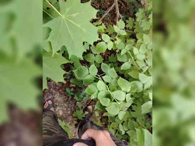 Luckyforyou