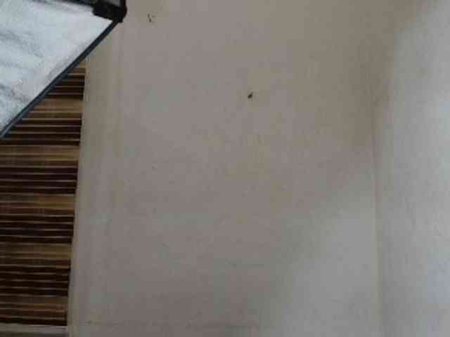 Sluttykittyx - Girl 