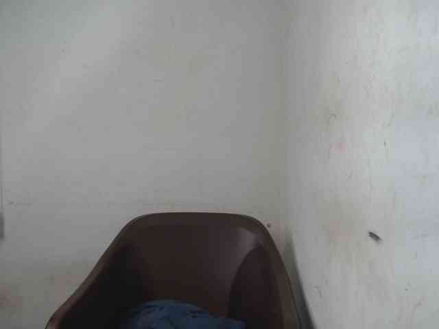 Sluttykittyx webcam