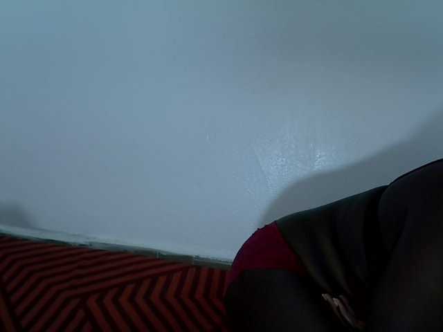 divasexy live cam on BongaCams