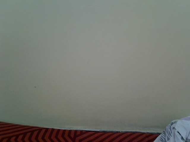divasexy live cam on BongaCams