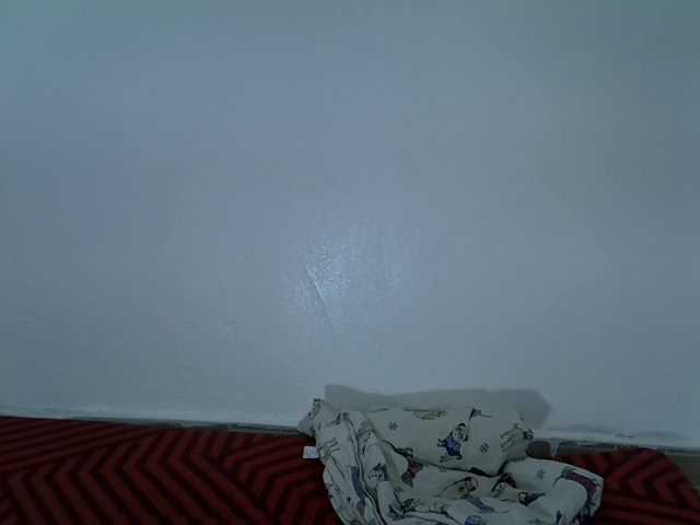 divasexy live cam on BongaCams