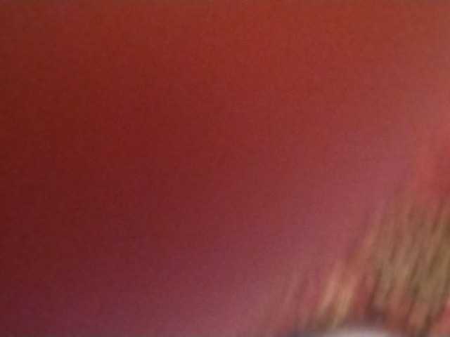 Gippo1