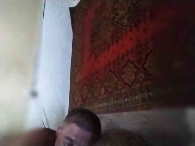 Gippo1