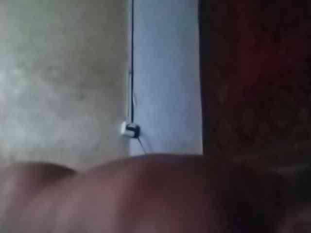 Gippo1