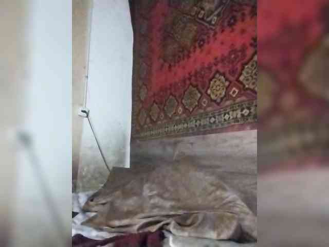 Gippo1