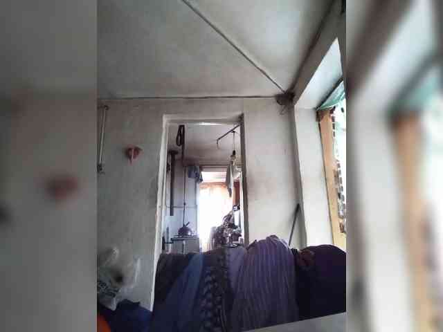Gippo1