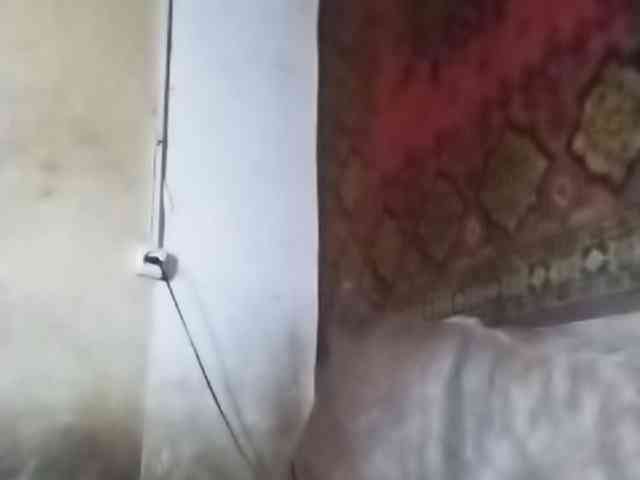 Gippo1