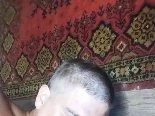Gippo1