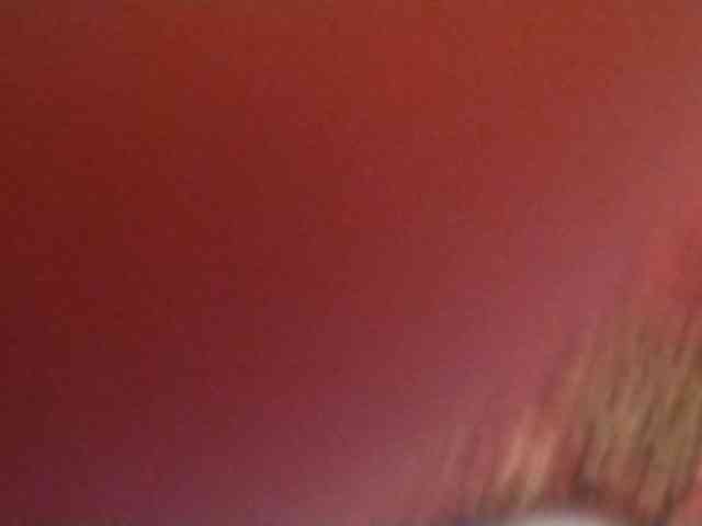 Gippo1