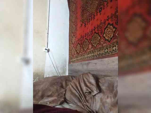 Gippo1