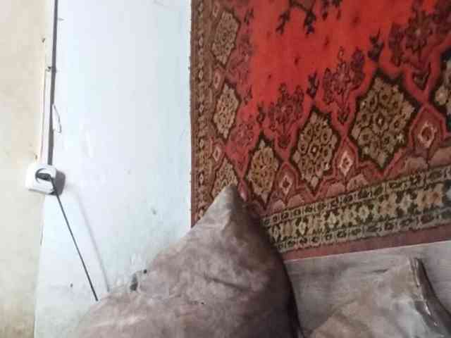 Gippo1 Gippo1