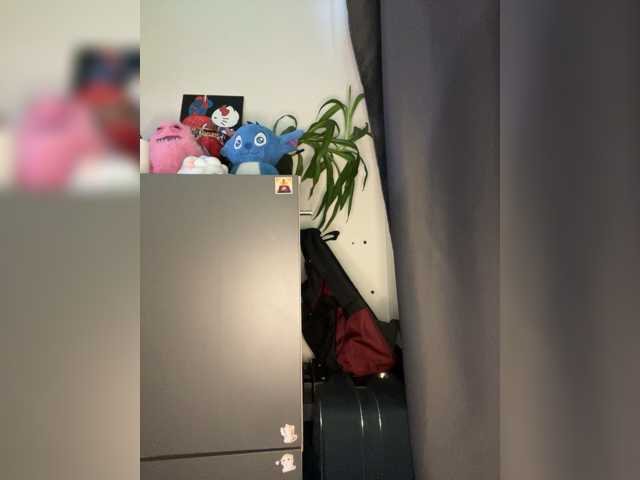zefirrr666