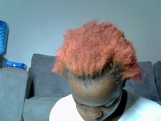 Lynnepretty4
