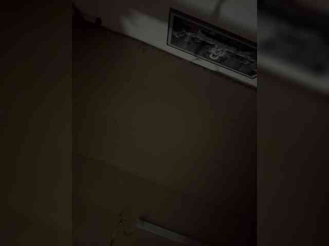 Nika12091996 webcam