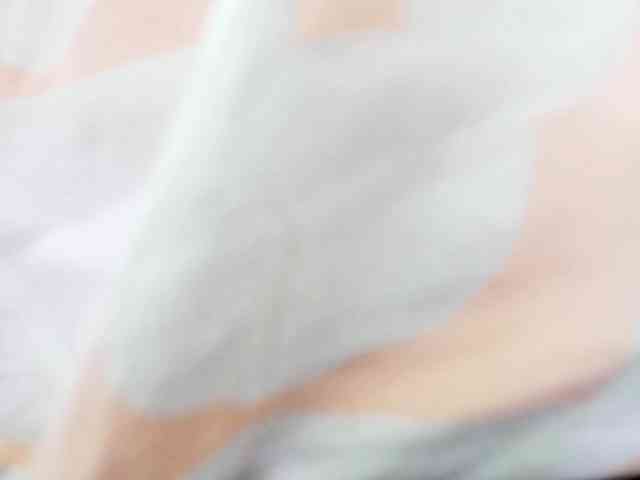 Shulee21 webcam