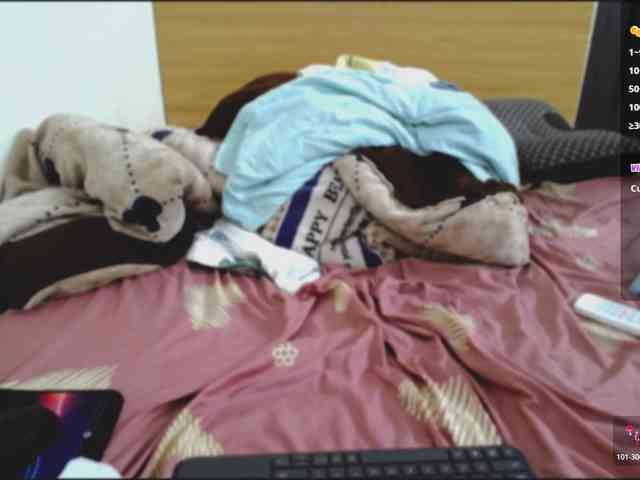 Shulee21 webcam