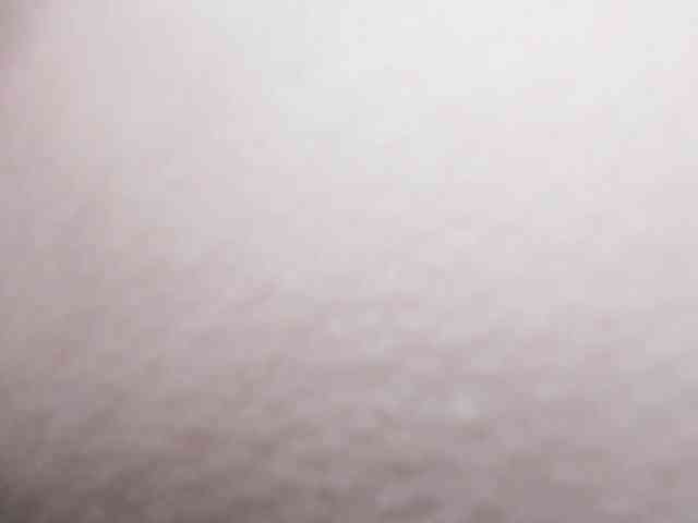 Shulee21 webcam