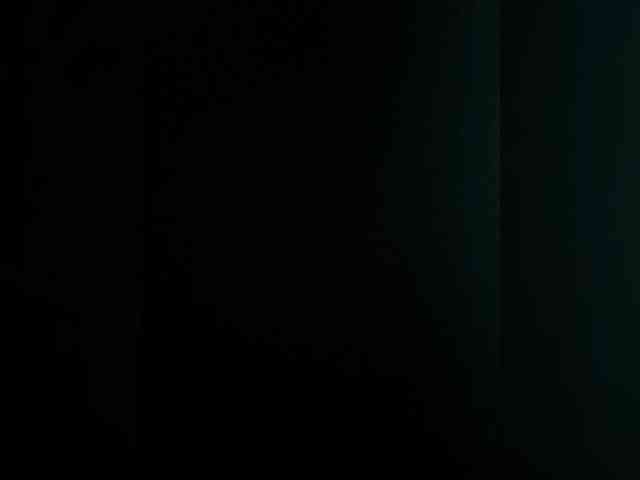 SecretDuetPair webcam