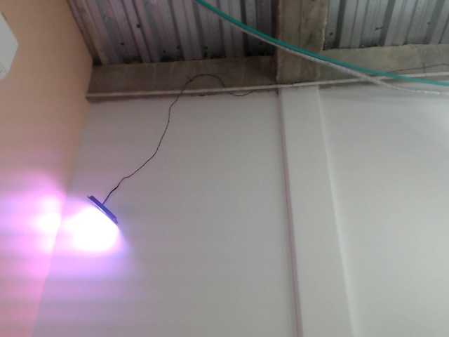 paola20atletic