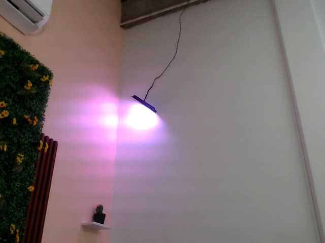 paola20atletic live webcam show