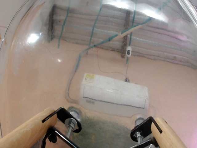 paola20atletic
