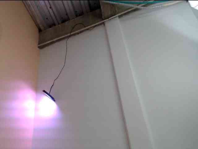paola20atletic webcam
