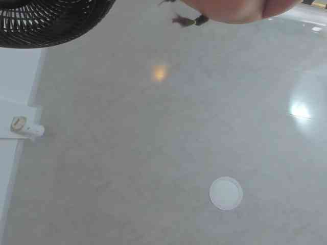 milagrace1