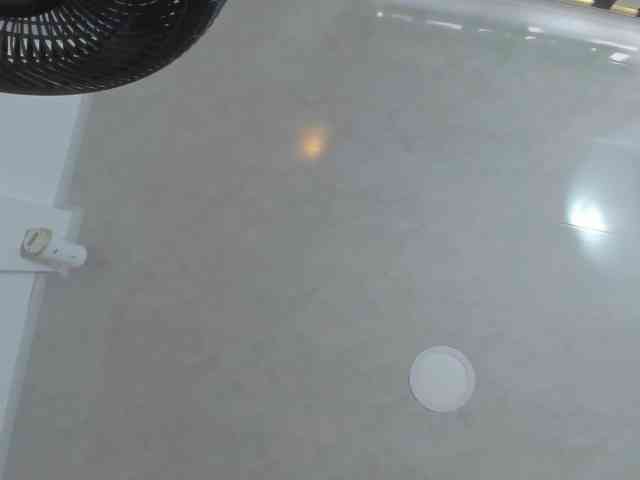 milagrace1 webcam