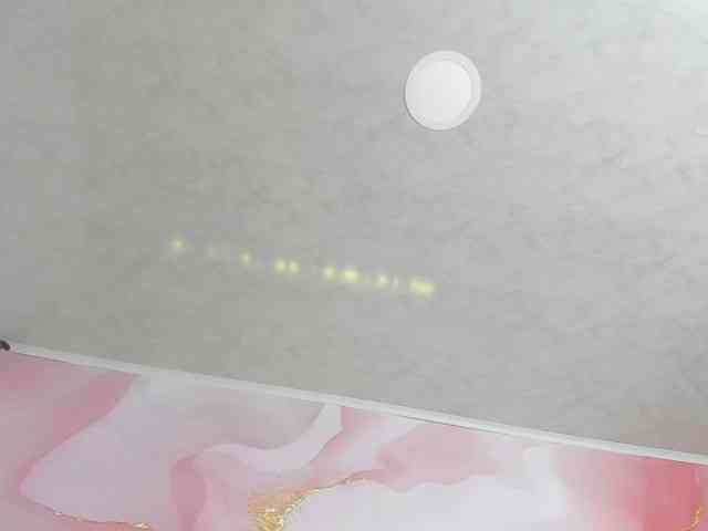 milagrace1 webcam