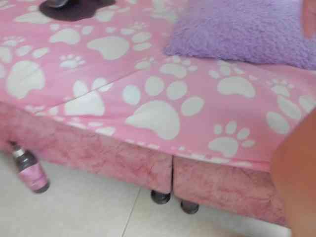 milagrace1 webcam
