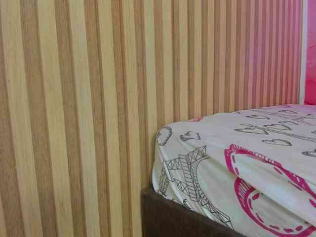 milagrace1 webcam