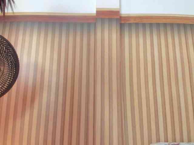 milagrace1 webcam