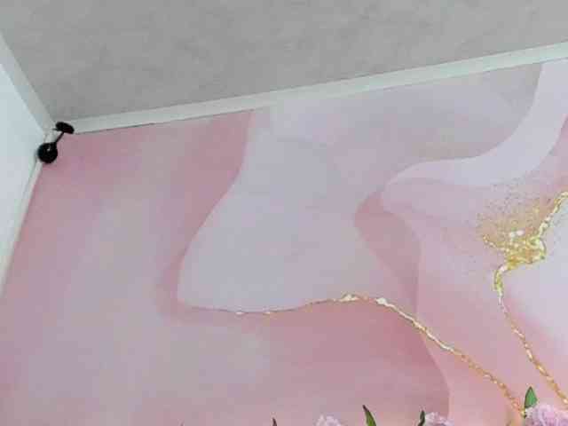 milagrace1 webcam