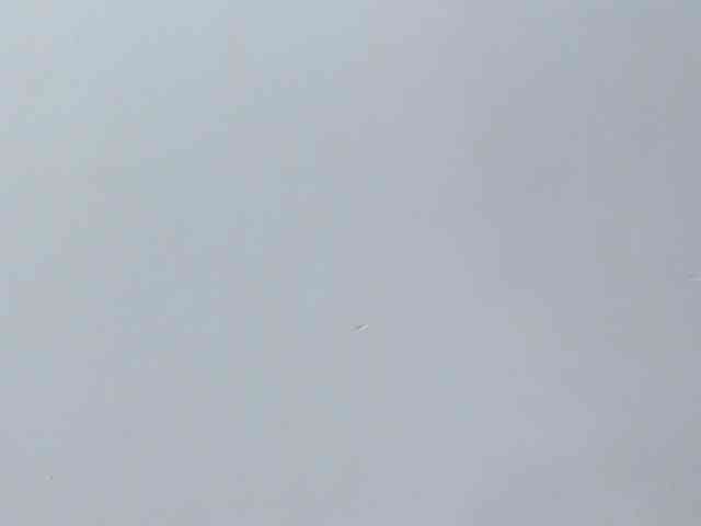 milagrace1 webcam