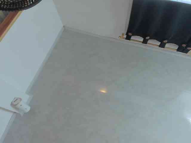 milagrace1 webcam