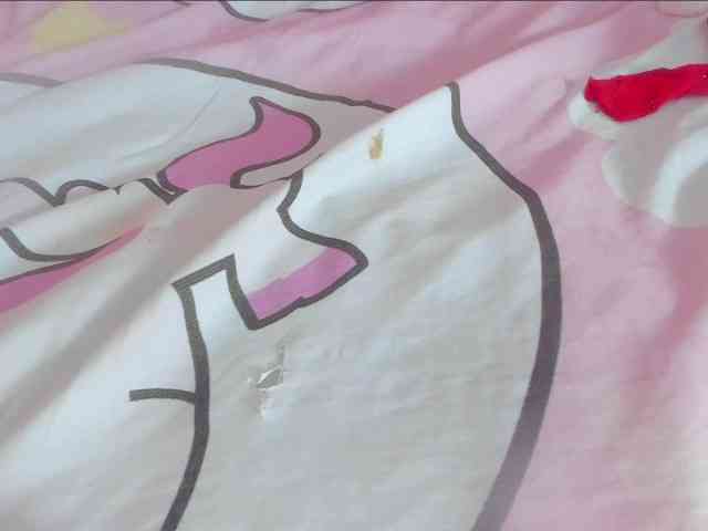 milagrace1 webcam