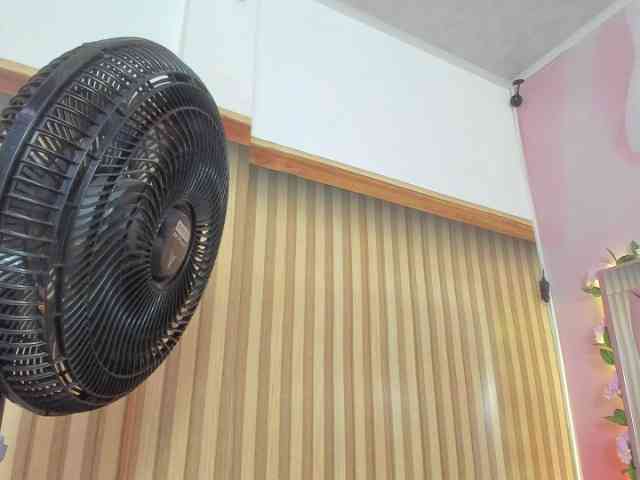 milagrace1 webcam